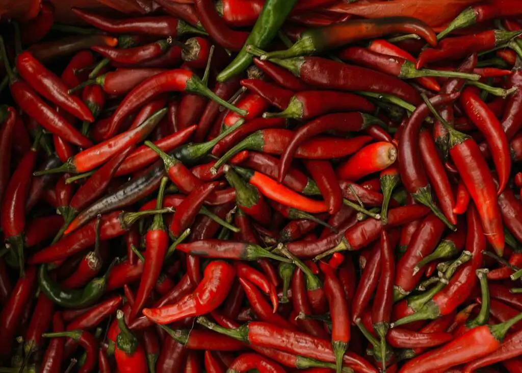 comment conserver les piments forts