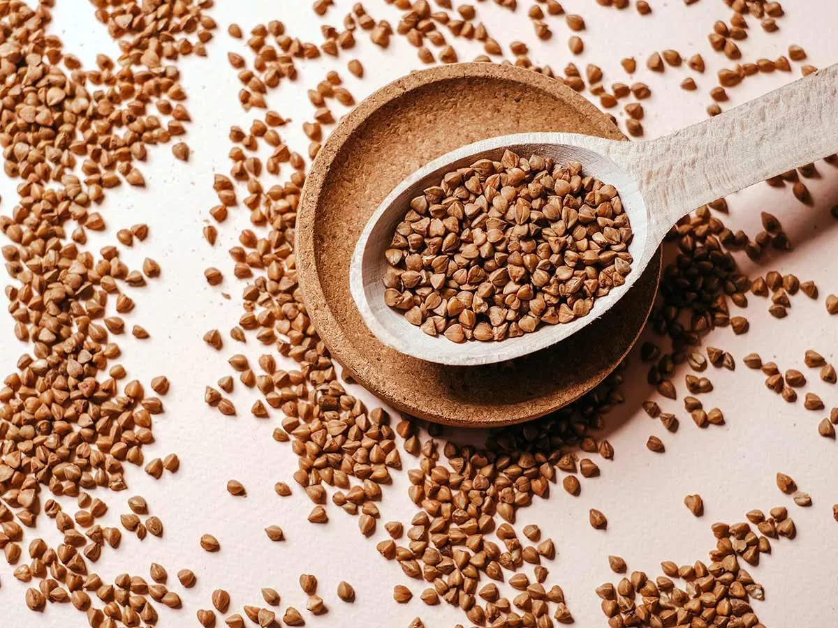 durée de conservation du sarrasin