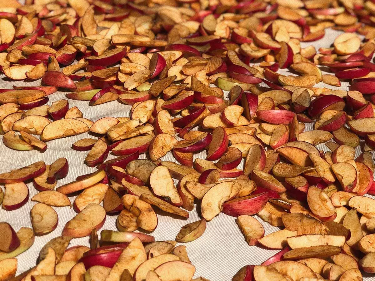 combien de temps se conservent les pommes séchées