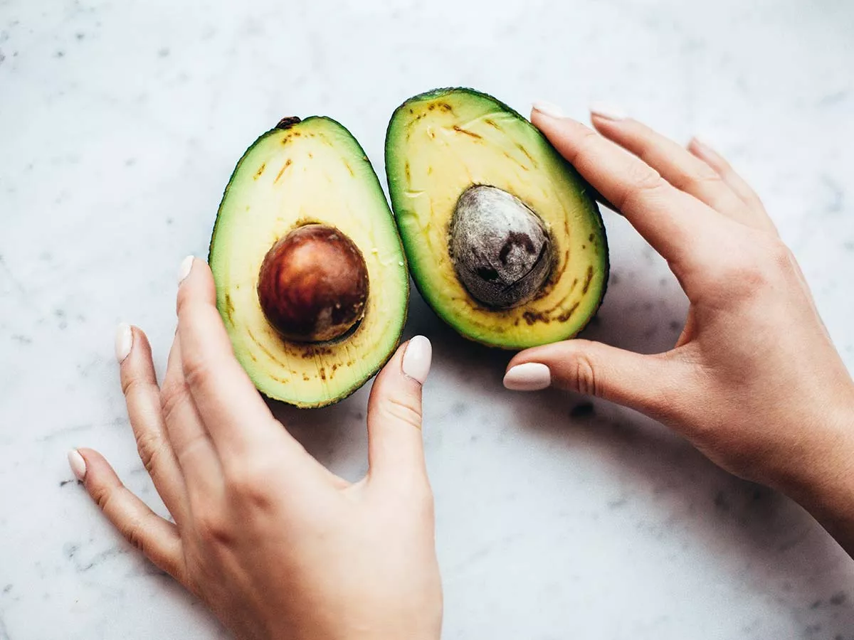 comment conserver les avocats