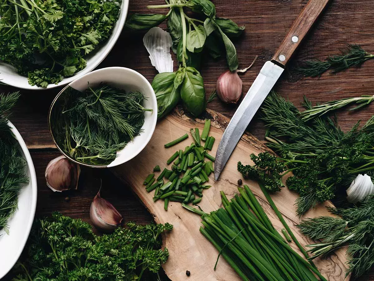 conservation des herbes fraiches
