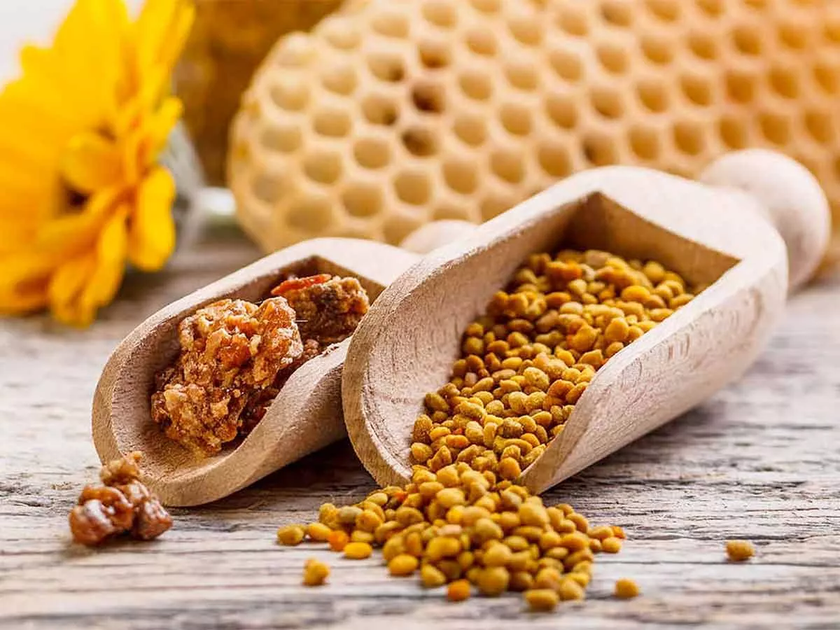 stockage conservation propolis et pollen