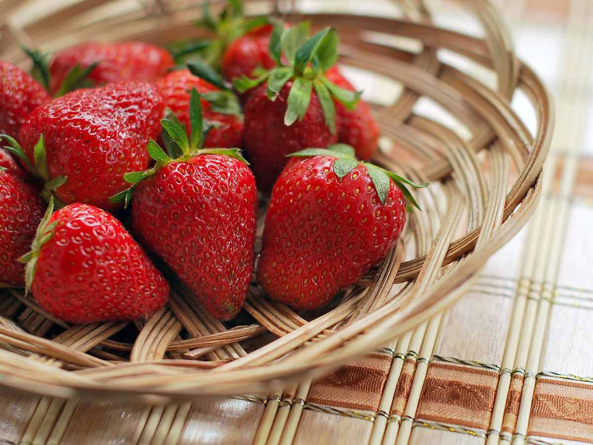 sécher fraises conserver longtemps