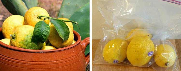 Conservation des citrons sans traitement
