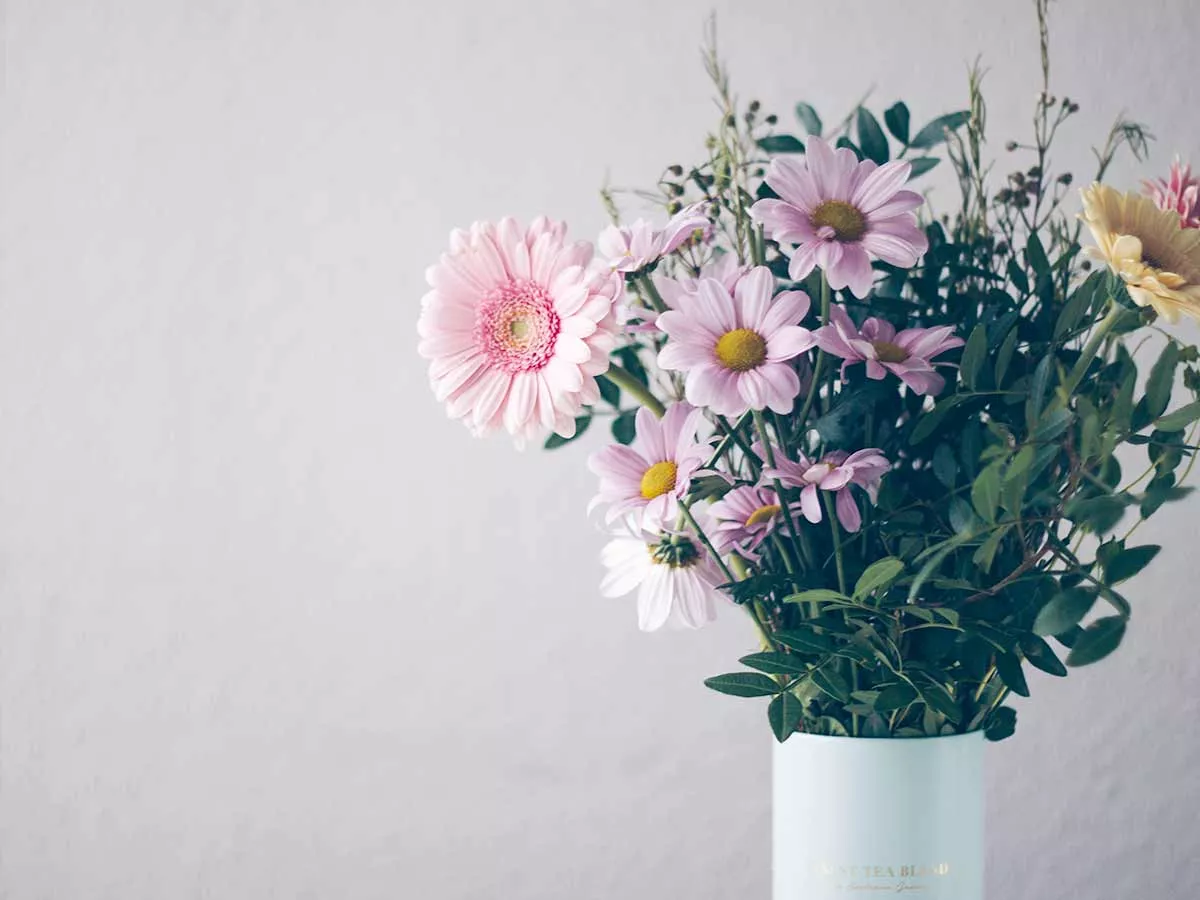 comment conserver fleurs coupées plus longtemps