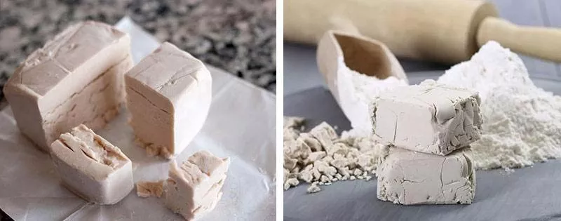 Caractéristiques du stockage de la levure pressée