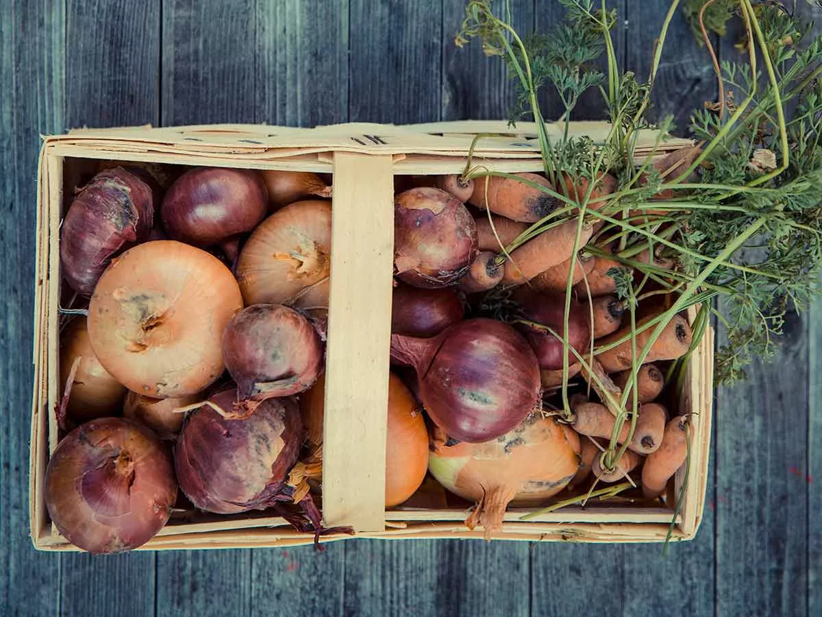 comment-conserver-oignons