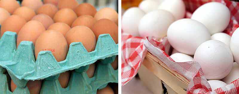 Stocker les œufs de poule à la maison