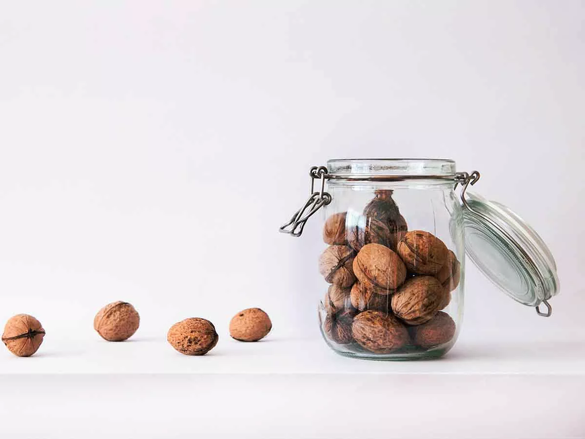 conservation des noix