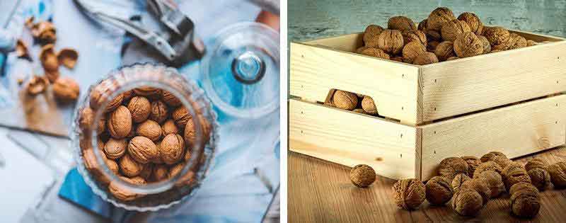 Conservation des noix dans un bocal ou une canette en bois