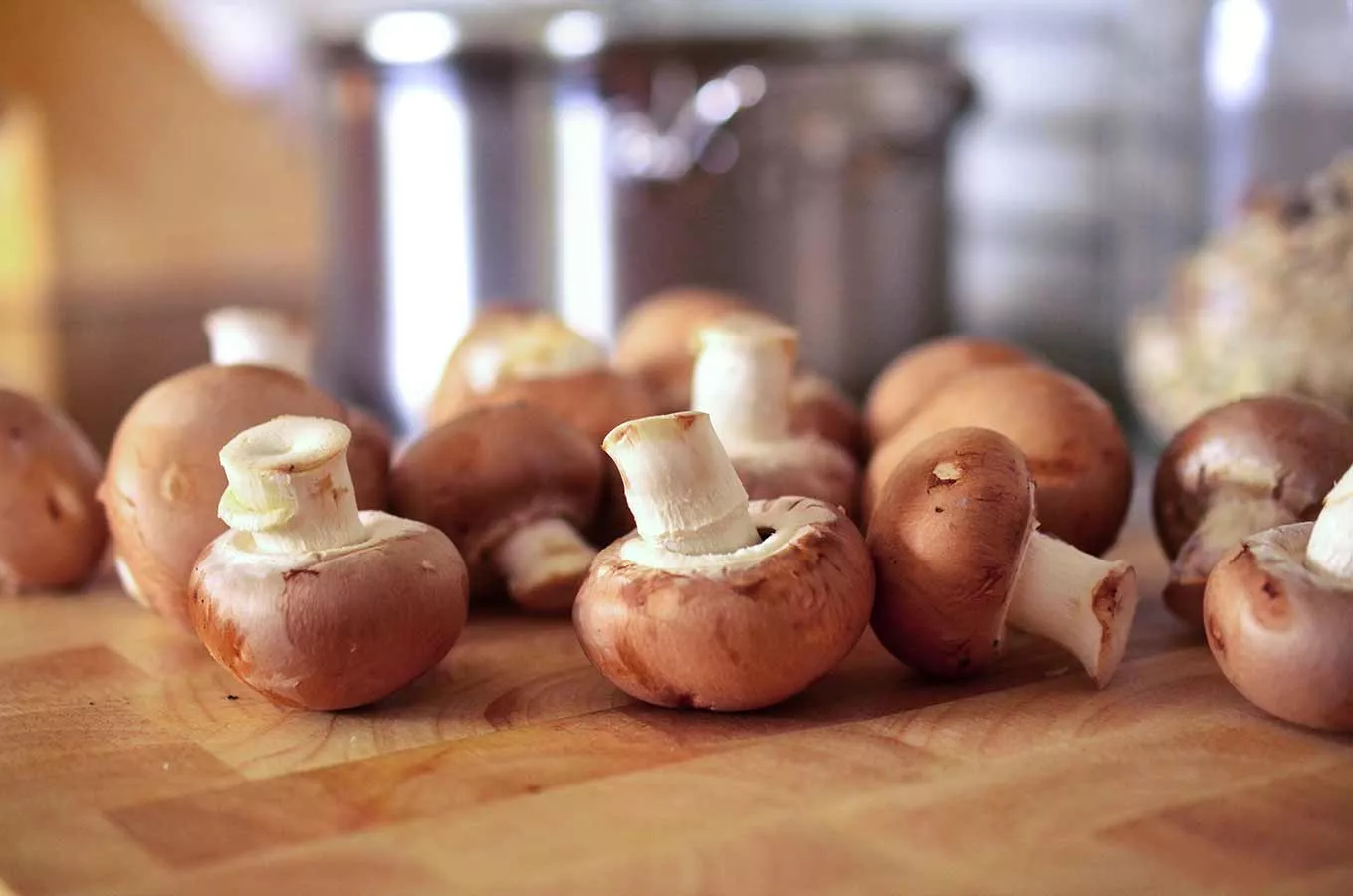 comment conserver les champignons frais
