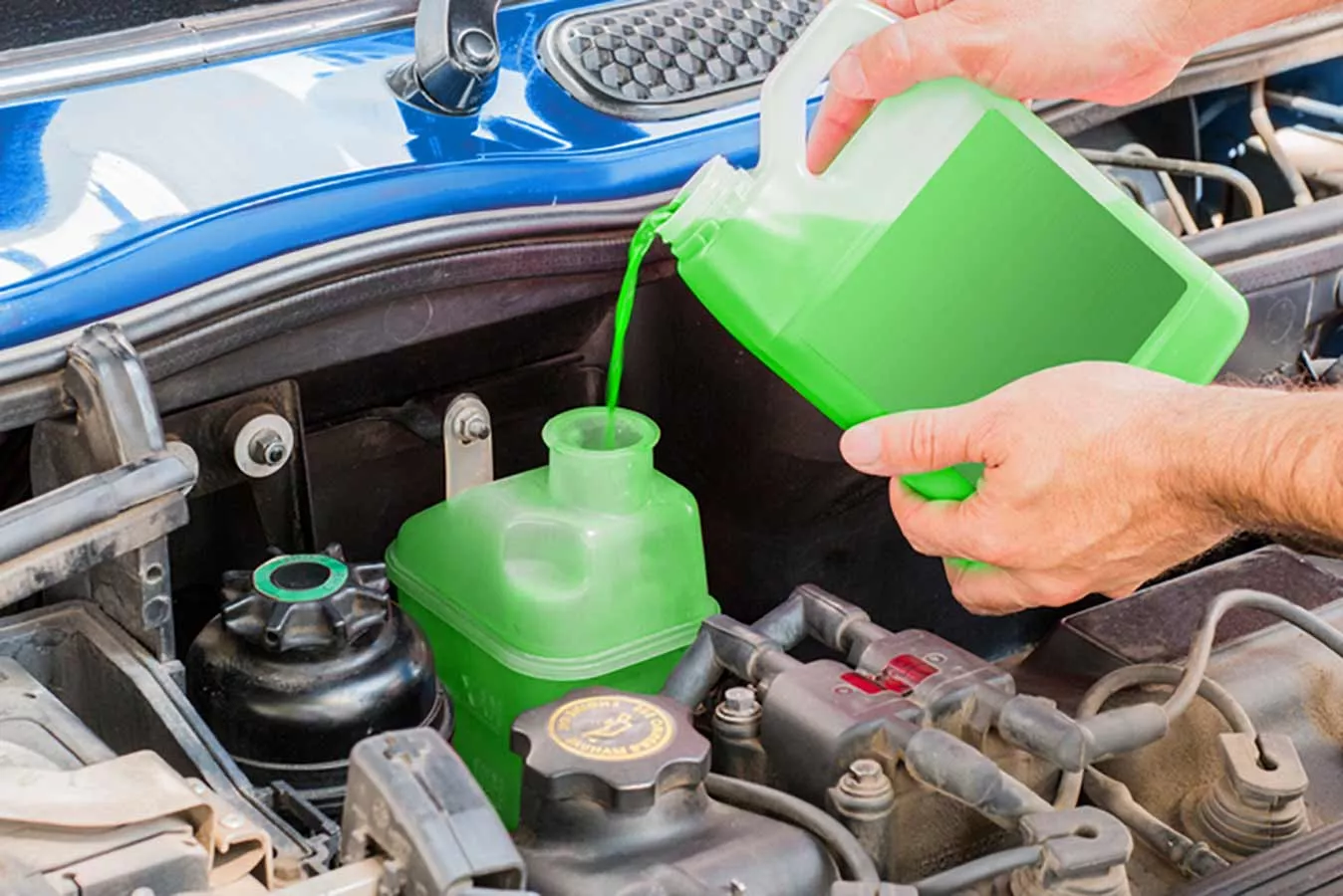 durée conservation antigel