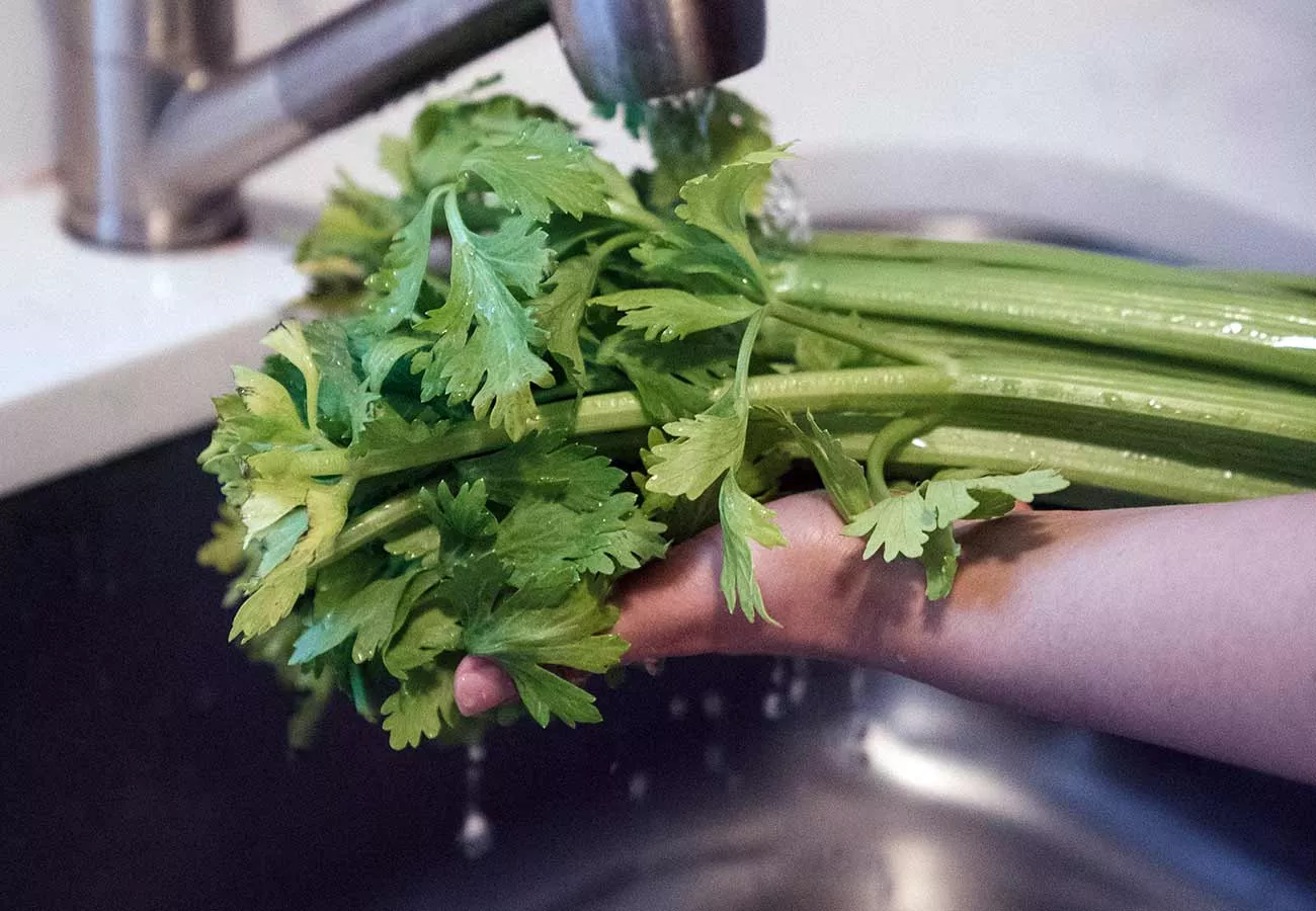 Comment conserver le céleri