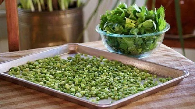 Préparation du céleri pour le séchage au four