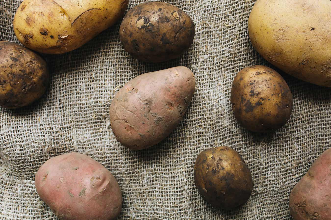 comment conserver pommes de terre