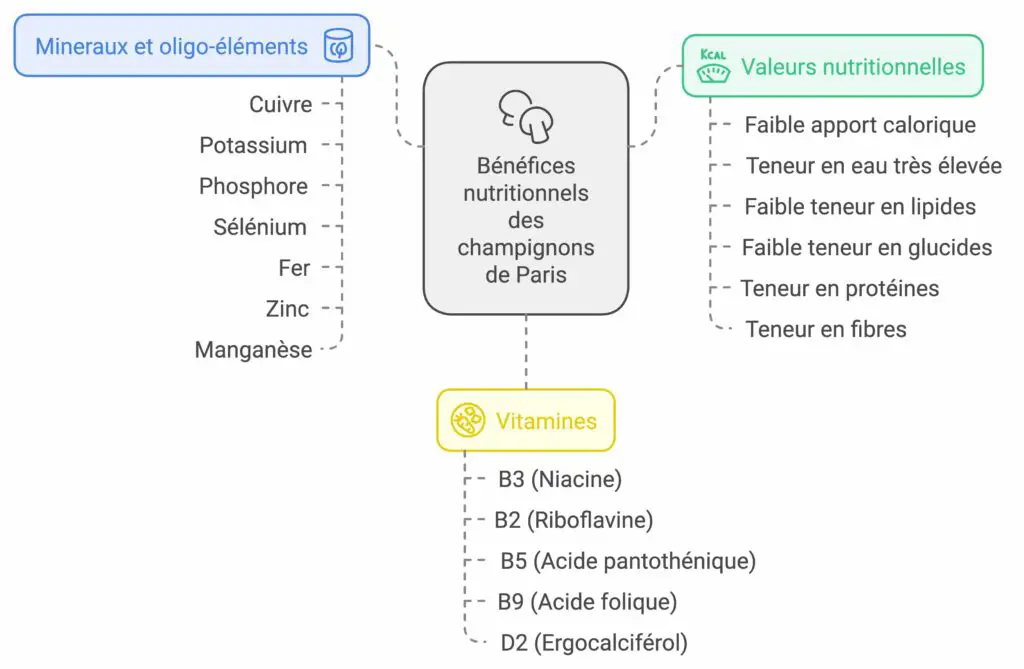 nutriments dans les champignons de Paris